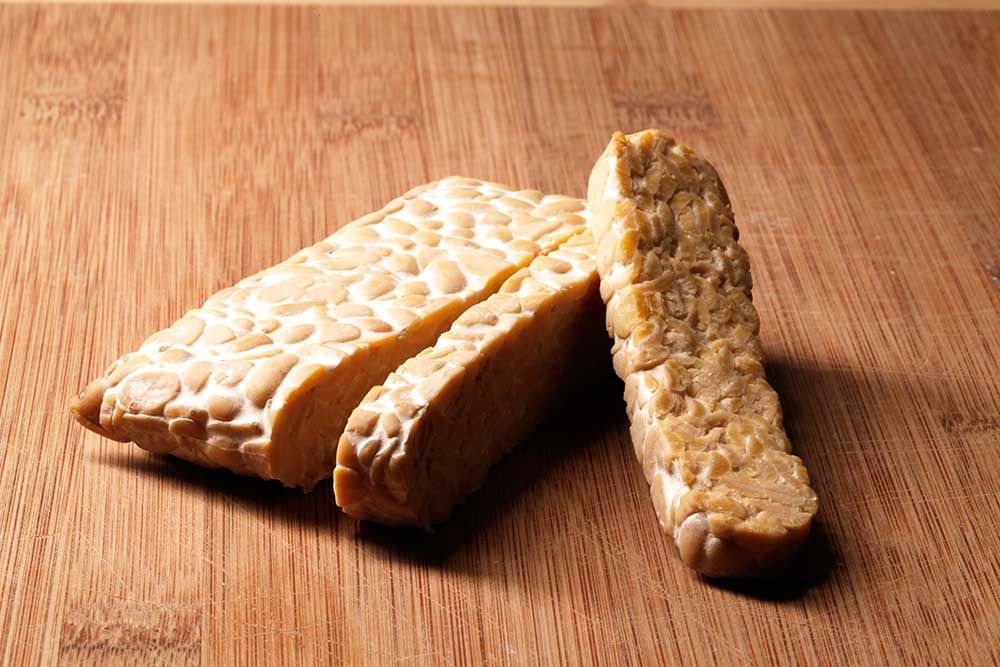 fermented tempeh